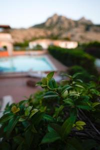 Domus Smeralda img17