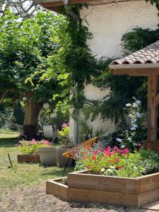 Maisons d'hotes La Ferme du Miouat : photos des chambres