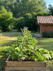 Maisons d'hotes La Ferme du Miouat : photos des chambres