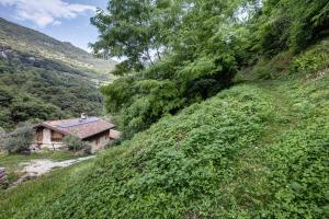 Two-Bedroom Superior Apartment