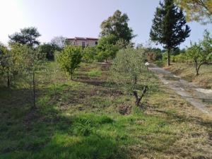 Villa Italia2