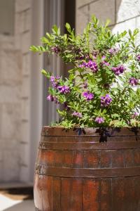 Apartments Krstičević