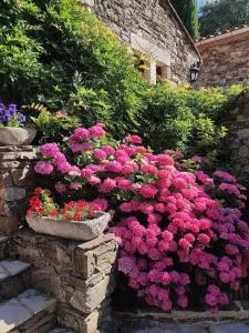 Le Mas De Ribard - Arphy