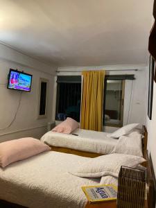 El Pillan "Travelers" House