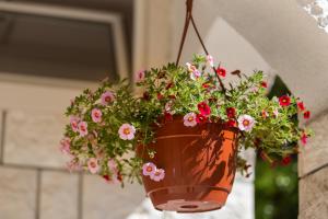 Apartments Krstičević