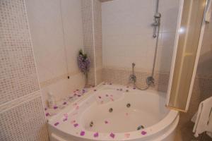 Il Falco del Cilento