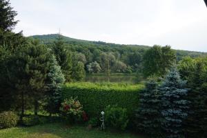 Ranczo Bieszczady duży Domek z Jacuzzi i Sauną