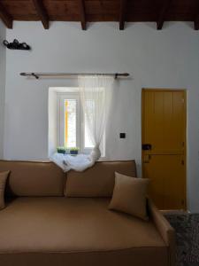 Κυθνος Δρυοπίδα, Στούντιο Χατζής