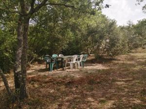 B&B / Chambres d'hotes Chez TATA : photos des chambres