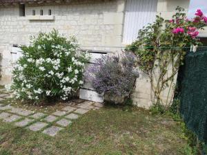 Maisons de vacances gite en touraine climatise : Maison 2 Chambres