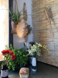 Maisons de vacances Maison charmante au bord du Rhone. : photos des chambres