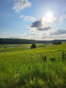 Domek letniskowy Dolice