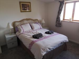 Maisons de vacances Belle Vue Gite : photos des chambres
