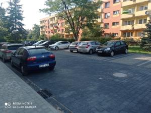 Apartament na parterze