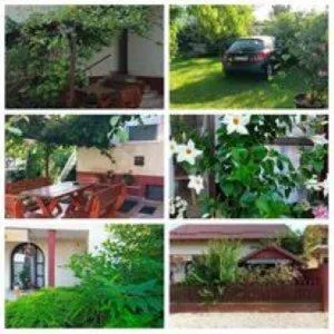 Pelikán Szállás - 瑙吉考尼饶