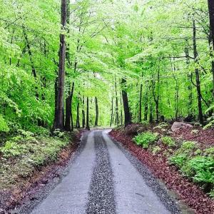 The Log House at Sugarloaf Mountain MD