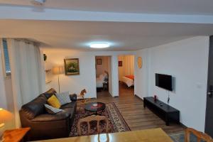 Appartements Le Cygne : photos des chambres