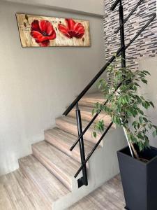 Apart Trelew 7
