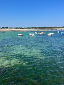 Appartements L'Amirage * a 200m de la mer* : photos des chambres