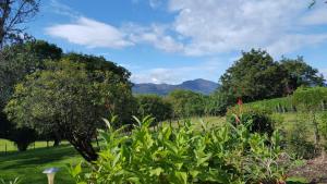 Maisons de vacances GITE BASQUE AINHOA LA RHUNE : photos des chambres