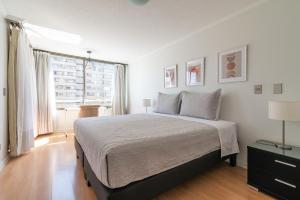 Oasis Citadino 2D 2B & Wifi