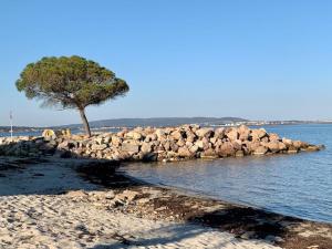 Appartement climatisé proche plage et port - FR-1-604-40