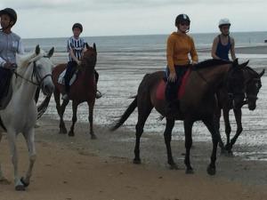 B&B / Chambres d'hotes Decouverte d'un Haras proche du Mont St Michel : photos des chambres