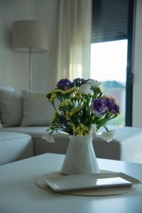 New Aesthetic Haven Hedonica 6 Apartment in Vrdnik