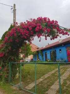 Agroturystyka Jagoda - Kołczewo