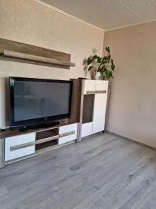 Vienistabas dzīvoklis - Lazdenieki