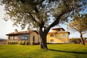 Agriturismo BioCore 2 - Colledoro - Mosciano SantʼAngelo