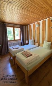 Hotels LE CHAMOIS : Chambre Lits Jumeaux - Vue sur Montagne