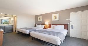 Queen Room with Two Queen Beds - Non-Smoking room in Budget Inn and Suites Stockton Yosemite