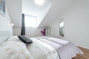 Apartment Meri 