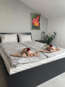 Apartament II w Centrum - Winda - 50 metrów od Starego Rynku