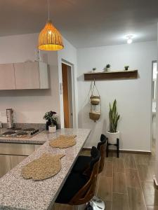 Departamento Altata Punta Paraiso