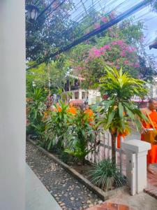 Lotus Corner - Heritage B&B