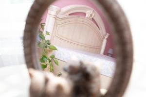 Апартаменти на Сихові, Драгана 1й