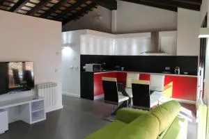 Apartment in the city of Olot Penthouse - La Pinya
