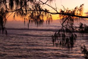 Reflections Bonny Hills - Holiday Park