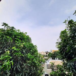 Boras Homestay