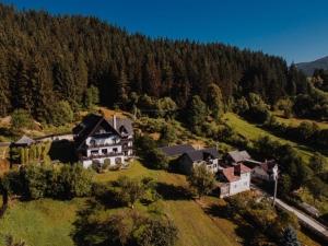 Bucovina Lodge Pension