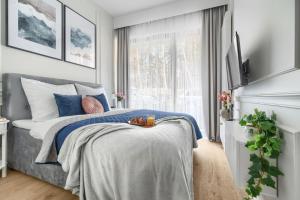 HO!HOUSE SHELLTER ROGOWO