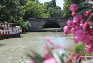 Appartements studio des lices Villesequelande : photos des chambres