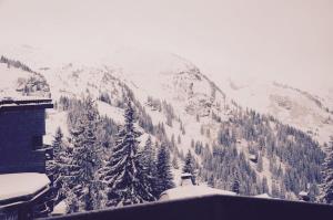 IMMODREAMS - Le Thuya