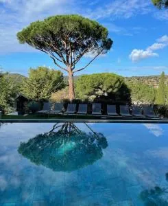 HomeStay Bormes - Bormes-les-Mimosas