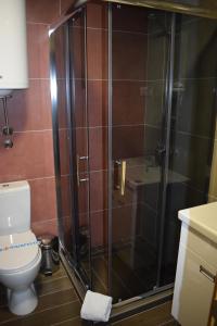 Apartman Emily Kopaonik
