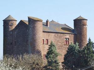 Maisons de vacances Gite l'Oustal occitan a Saint-Juery : photos des chambres