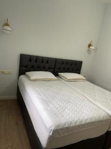 aza guest house