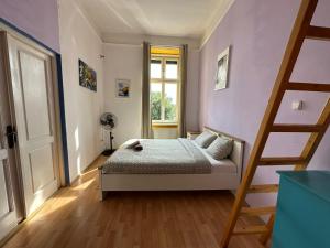 Park Danubes view central market Budapest